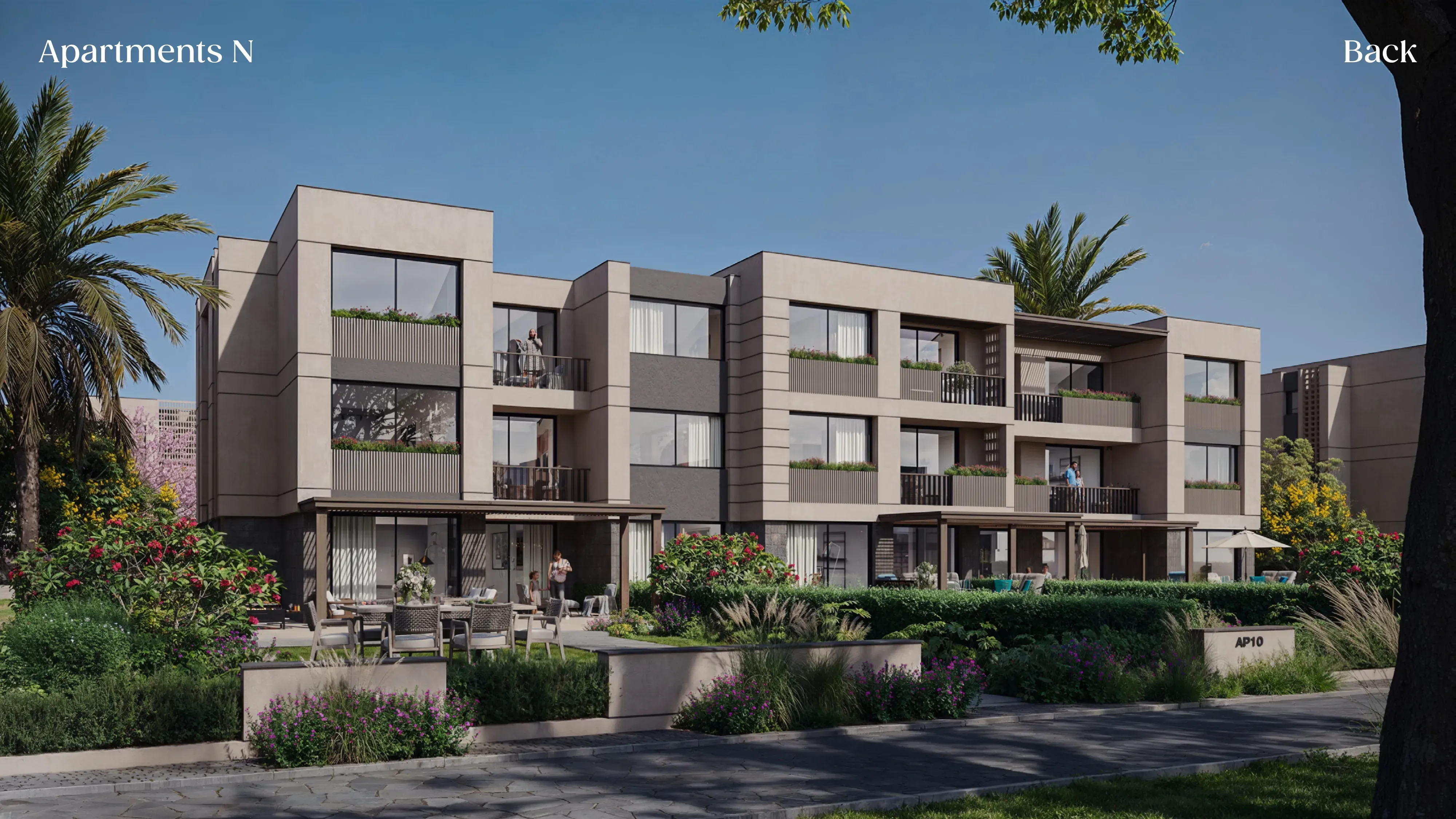 ONS in New Zayed by Mabany Edris